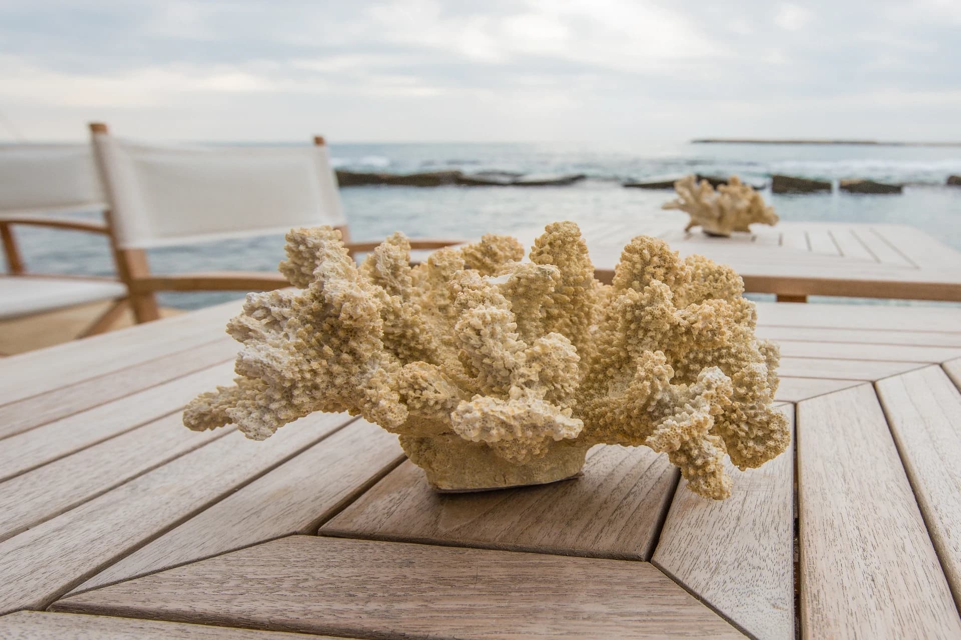 Coral detail on a seafront table