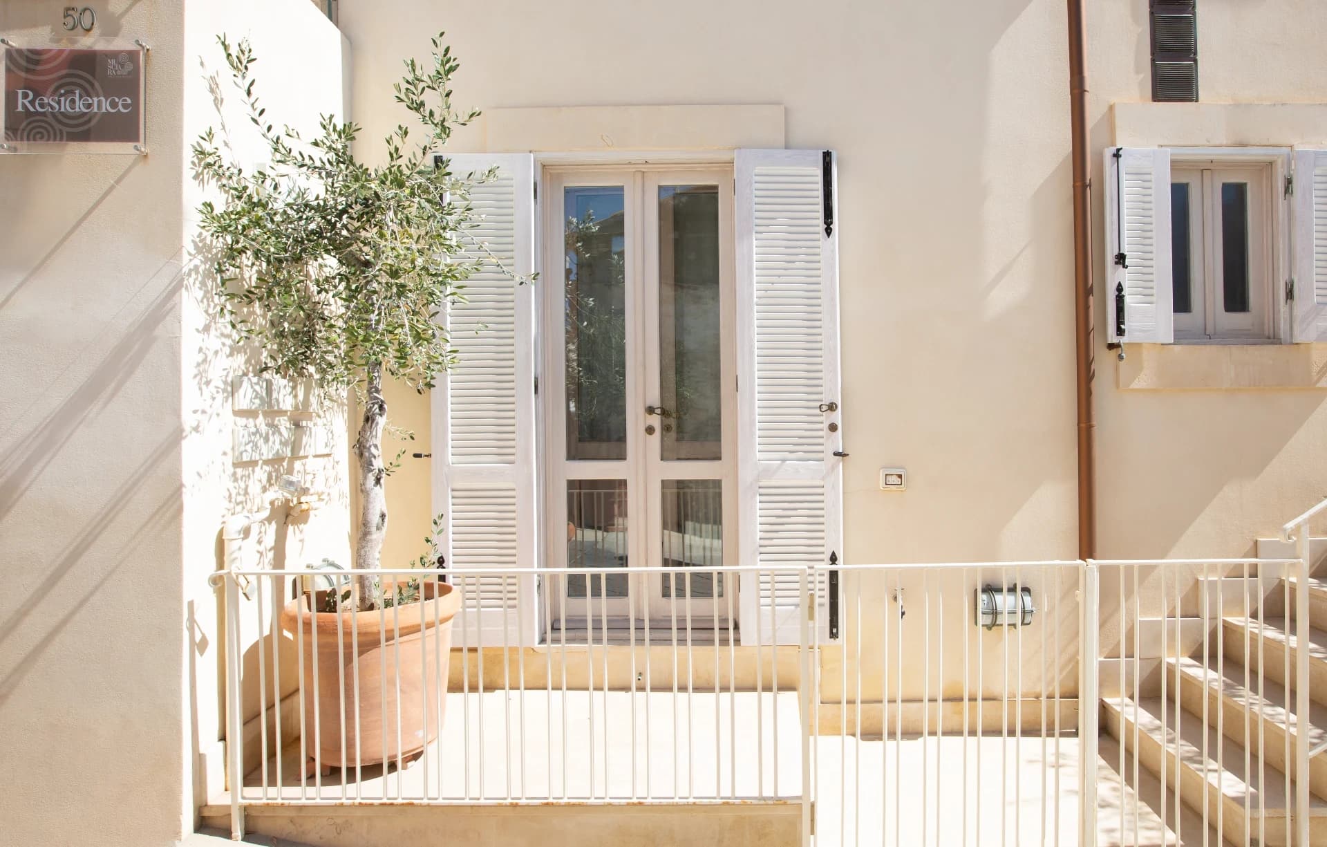 Residence terrace with olive tree