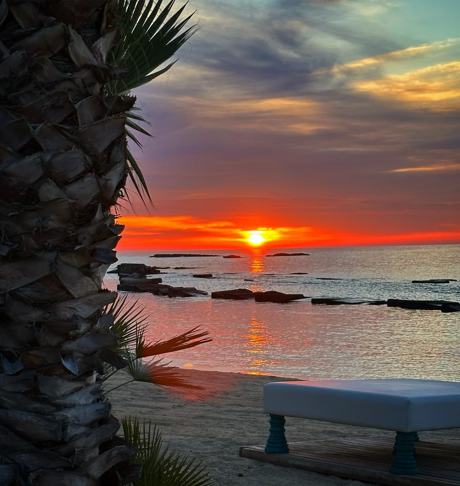 Sunset over the sea among palm trees