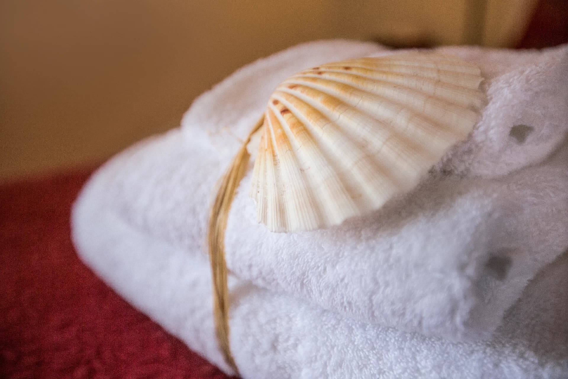 Suite Coral Room — 10
