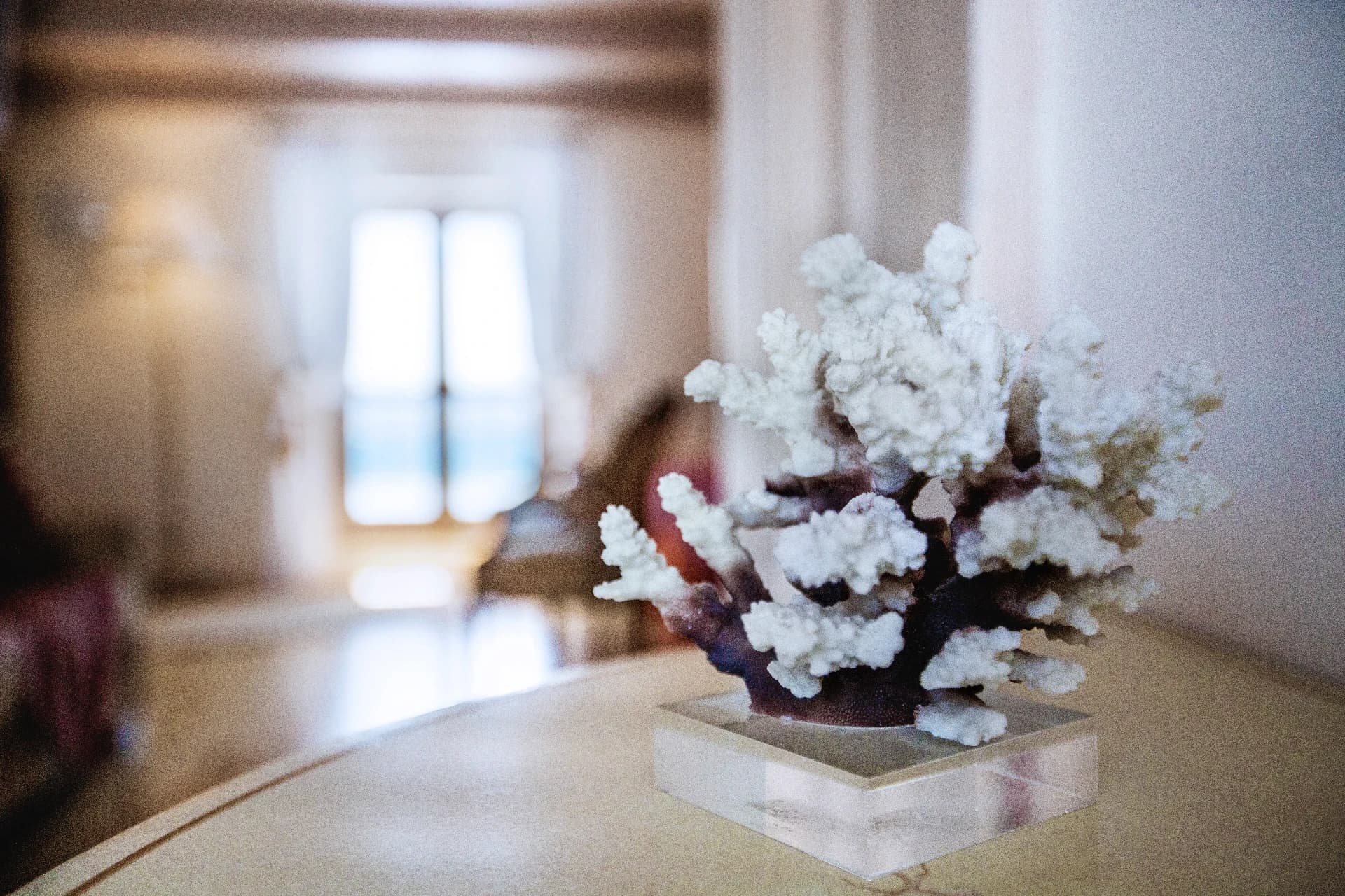 Suite Coral Room — 9